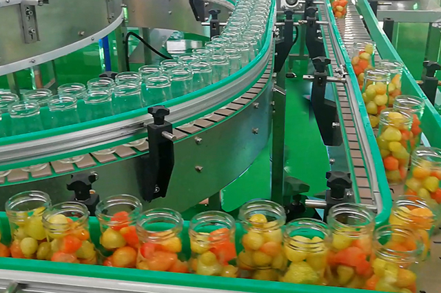 草莓罐頭設(shè)備輸送線(xiàn)